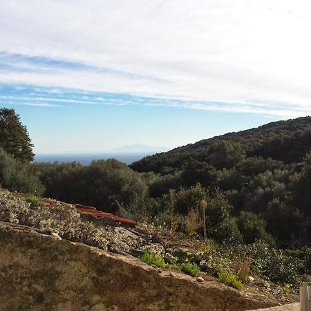 Вилла Maison Dans Le Cap Corse Tomino Экстерьер фото