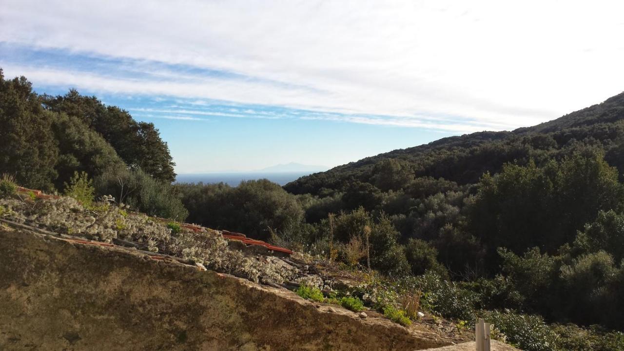 Вилла Maison Dans Le Cap Corse Tomino Экстерьер фото